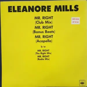 Eleanore Mills – Mr Right
