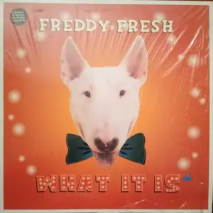 Freddy Fresh – What It Is