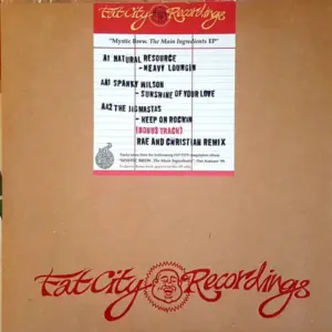 Various – Mystic Brew - The Main Ingredients EP Pt. 1