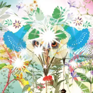 OOIOO – Gamel