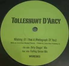 Tolleshunt D'Arcy – Wishing (If I Had A Photograph Of You)