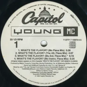 Young MC – What's The Flavor?