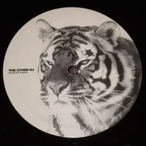 Other Dj, The – Adriana's Friends