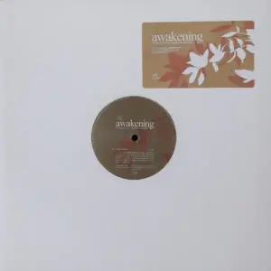 François Kevorkian Feat. Barbara Mendes – Awakening
