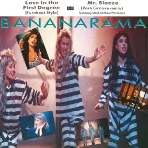 Bananarama – Love In The First Degree