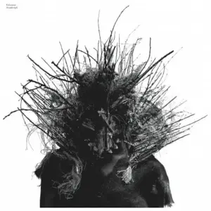 Teleseen – Anamorph