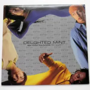 Delighted Mint – Higher Elevation / Along The Bayside (Giant Swang Mix)