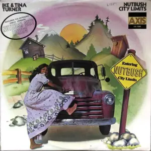 Ike & Tina Turner – Nutbush City Limits