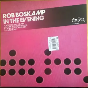 Rob Boskamp – In The Evening