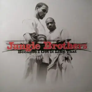 Jungle Brothers – Because I Got It Like That