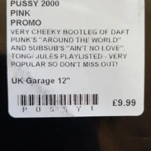 Pussy 2000 – Ain't No Love Around The World