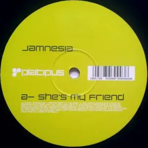 Jamnesia – She's My Friend / Get Busy