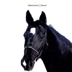 Tiefschwarz – Never