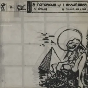 Notorious J / Shaun Bear – Impulse / Take It Like A Pro