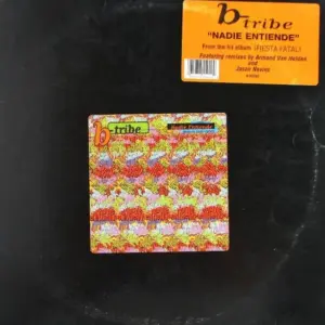 B-Tribe – Nadie Entiende (Nobody Understands)