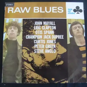 Various – Raw Blues