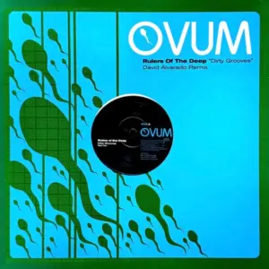 Rulers Of The Deep – Dirty Grooves