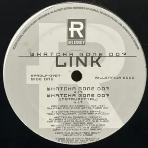 Link (3) – Whatcha Gone Do?