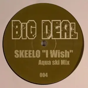 Skee-Lo – I Wish (Aqua Ski Mix)