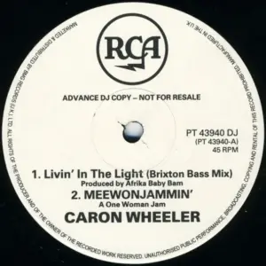 Caron Wheeler – Livin' In The Light