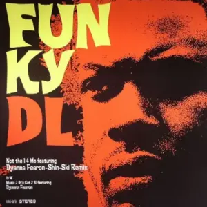 Funky DL – Not The 1 4 Me (Shin-Ski Remix)