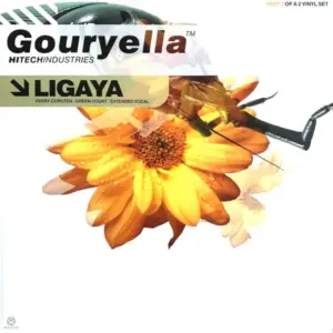 Gouryella – Ligaya (Part 2 Of A 2 Vinyl Set)