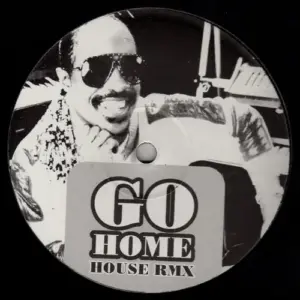 Stevie Wonder – Signed Sealed Delivered / Go Home