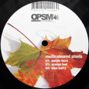 Gennaro Rossi – Multicoloured Plants