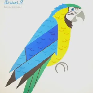 Sirius B (3) – Samba Selvagem