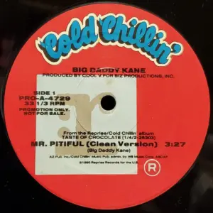 Big Daddy Kane – Mr. Pitiful