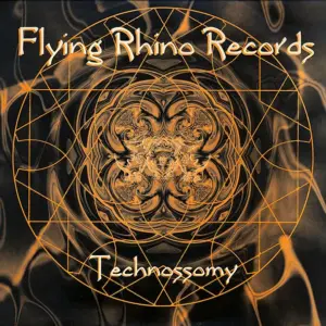 Technossomy – Make It Fit