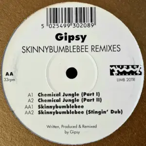 Gypsy (4) – Skinnybumblebee Remixes