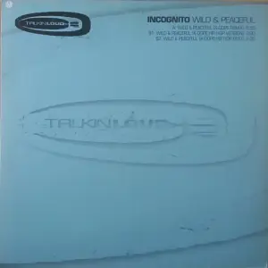 Incognito – Wild & Peaceful (K-Dope Mixes)