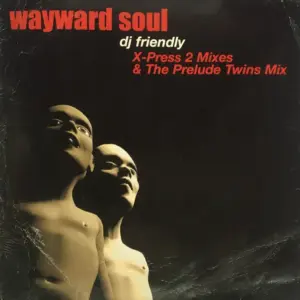 Wayward Soul – DJ Friendly