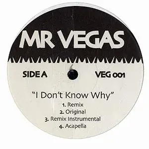 Mr. Vegas – I Don't Know Why / Luney Tunes Reggaeton Mixes