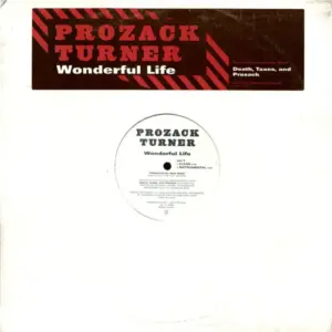 Prozack Turner – Wonderful Life