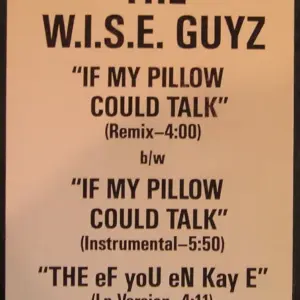 W.I.S.E. Guyz, The – If My Pillow Could Talk
