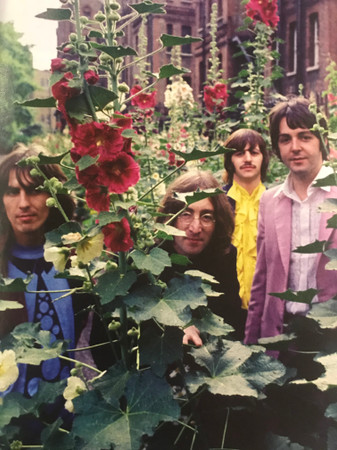 The Beatles