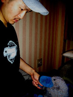 Toru S.