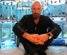 Clive Deamer