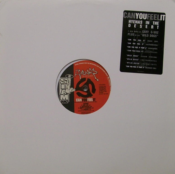 Can You Feel It / Wild Dogs