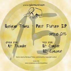 Past Future EP