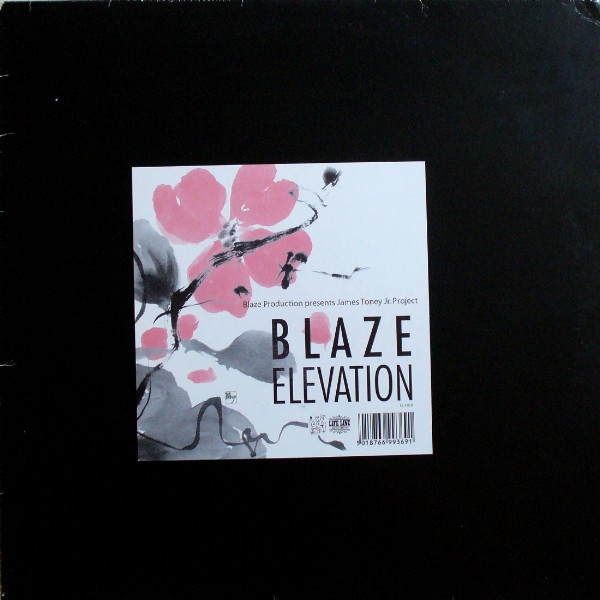 Elevation