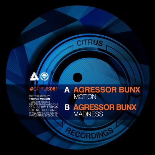 Motion / Madness