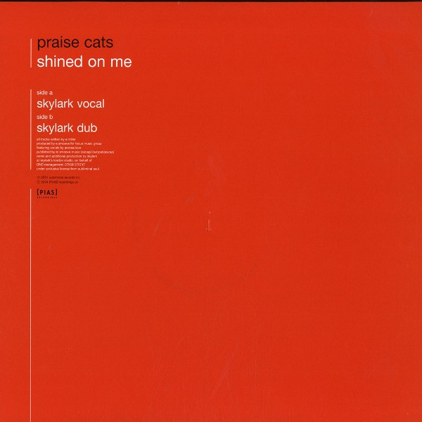 Shined On Me (Skylark Remixes)