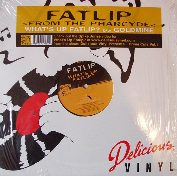 What's Up Fatlip? / Goldmine