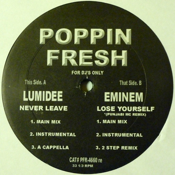 Never Leave / Lose Yourself (Punjabi MC Remix)