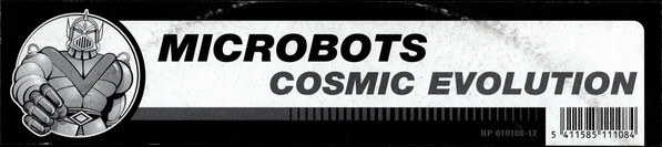 Cosmic Evolution - Secondary image
