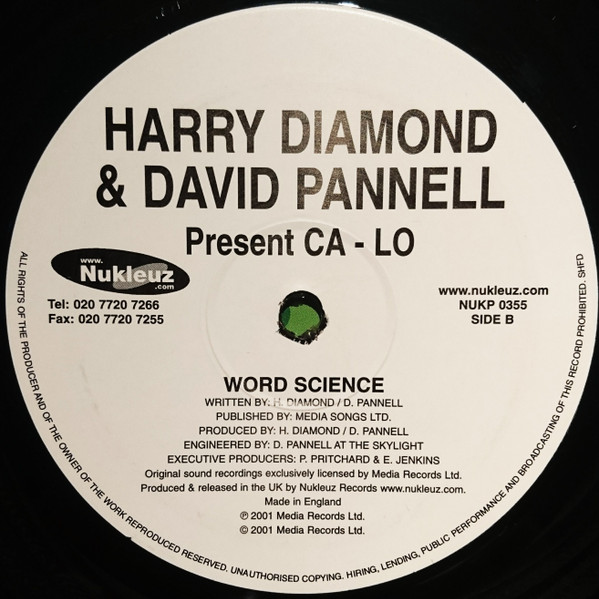 Tamara's Groove / Word Science - Secondary image